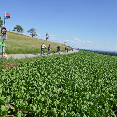 041 Veloweg nach Rudolfingen